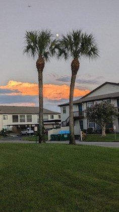 Country Village of Bradenton