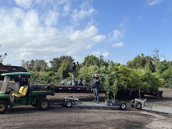 Palms Farms Nursery