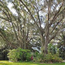 Country Oaks Homestead