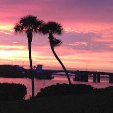 Siesta Key Paradise