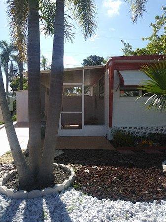 Palm and Pines