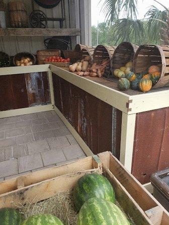 Blue Ribbon Farm and Feed Supply