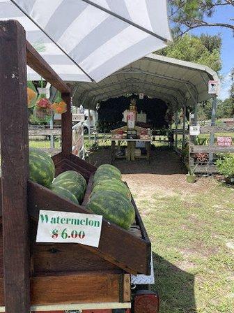 El Papa Farm