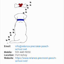 Relano's Precision Pooch School