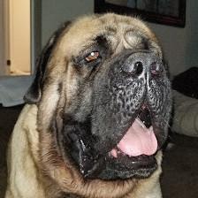 Mastiff Metals Metal Craft & Design LLC