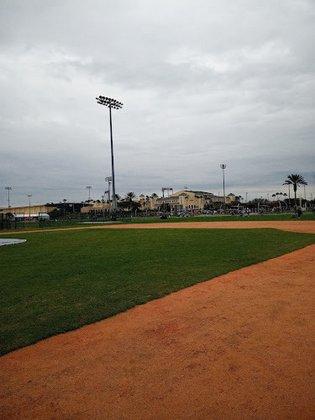 Field 21