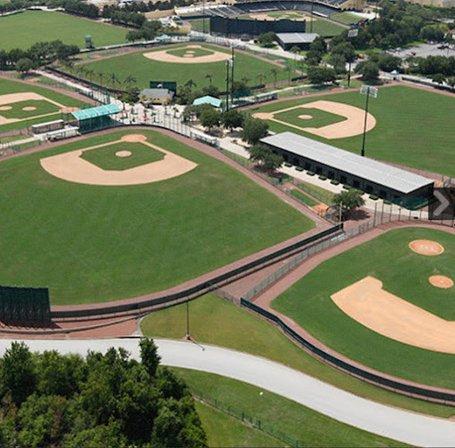 Field 5