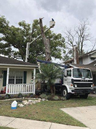 New Breeze Tree Service