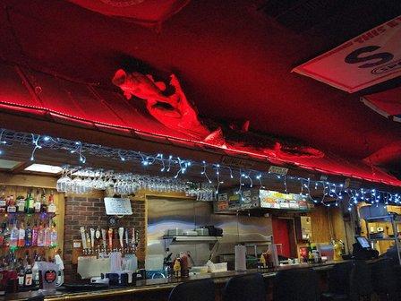 Wild Turkey Tavern