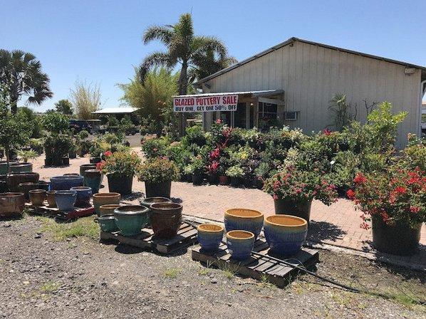 Solara Garden Center (Formerly Brewer’s Nursery)