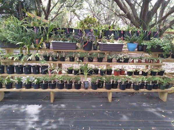 Country Oaks Homestead