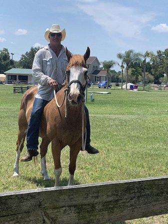 EQUISPORTS UNLIMITED