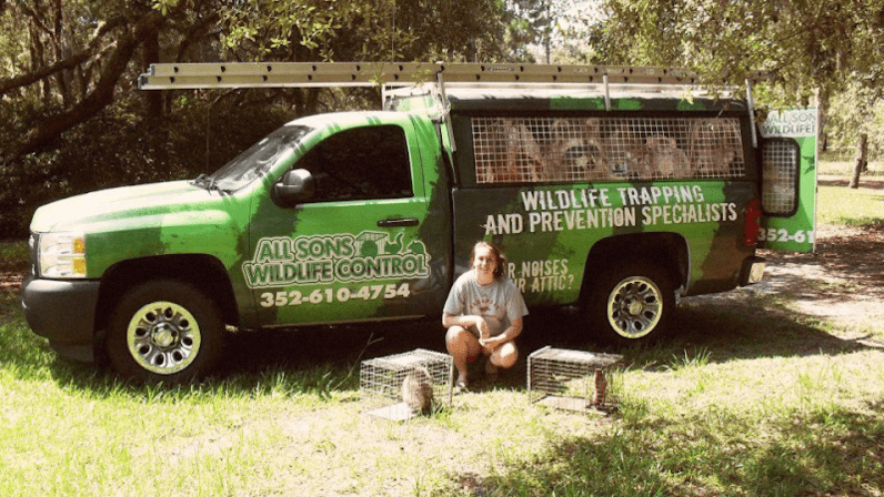 Allsons Wildlife removal trapper