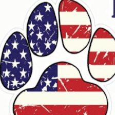 Dog Life LLC