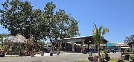 Ta Tropical Fruit Ranch