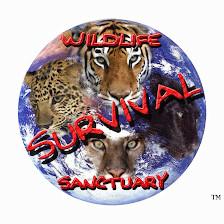 Wildlife Survival Sanctuary