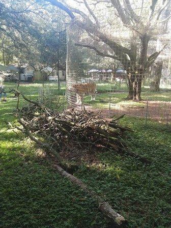 Survival Outreach Sanctuary