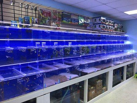 What's In Your Tank