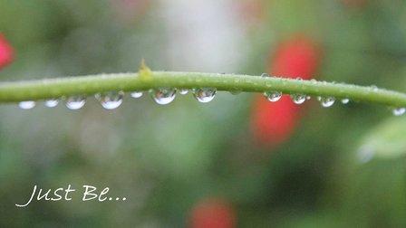 Green Peace Art of Relaxation