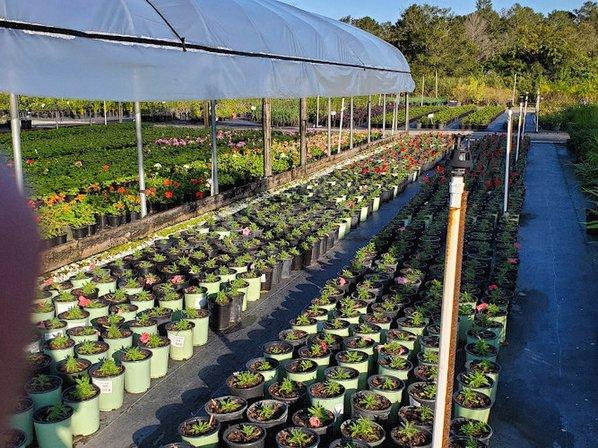 H & H Nursery Inc.