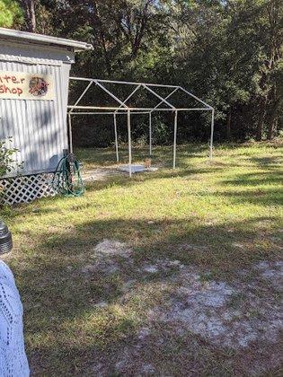 Wildlife Survival Sanctuary