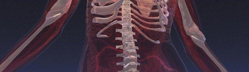 Tarpon Spine Center