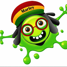 Marley's House Vape & Smoke Shop