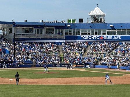 Dunedin Blue Jays