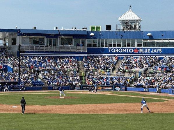 Dunedin Blue Jays