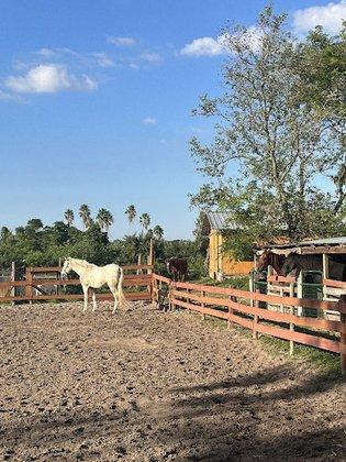 Rosaire's Riding Academy & Pony Rides LLC