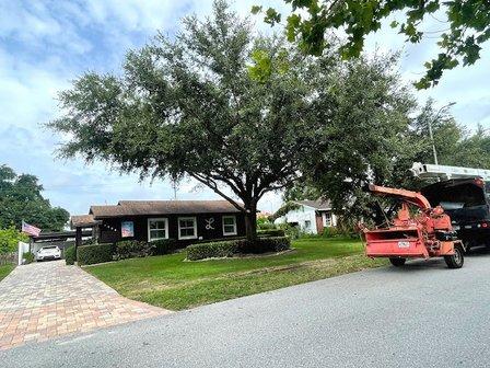 Lazaro Leal Landscaping and Tree Service LLC