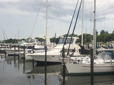 Pirate Monkey Boat Rentals