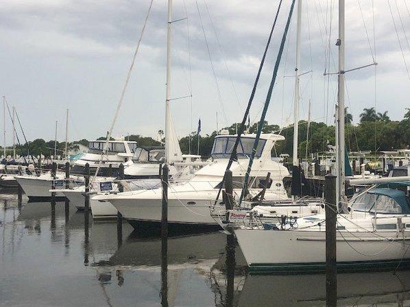 Pirate Monkey Boat Rentals