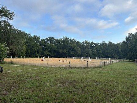 Scattered Acres Equestrians