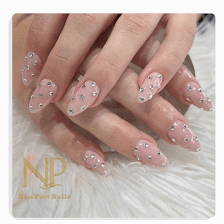 NEWPORT NAILS (Bayonet Point)