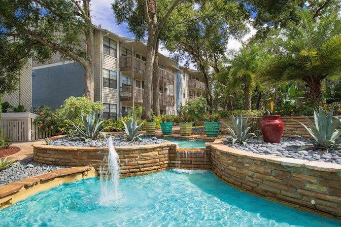 Stillwater Palms