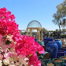 Mariposa Nursery Inc