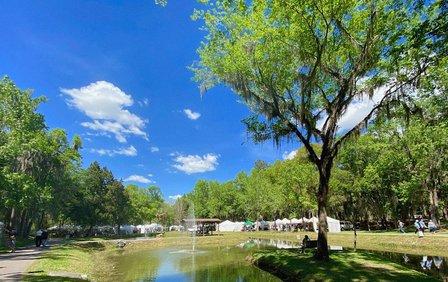 Art in the Park Brooksville