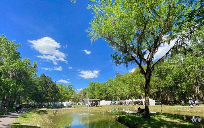 Art in the Park Brooksville