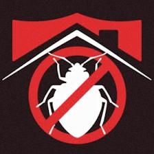 Florida Bedbug Solutions - Tampa