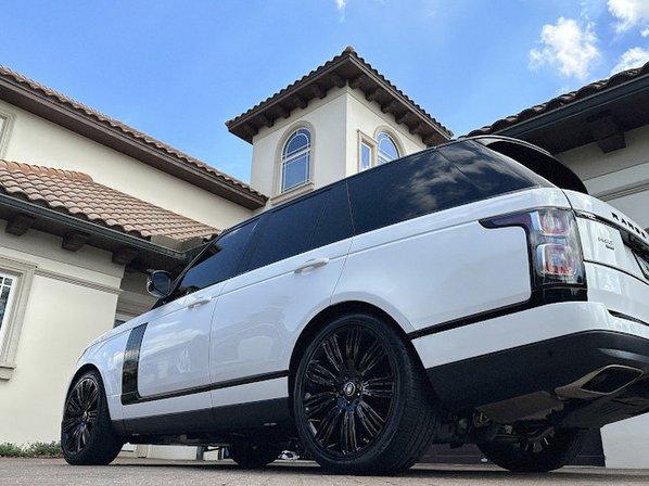 Next Level Detailing & Outdoor Services