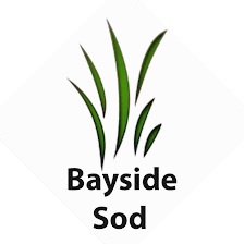 Bayside Sod Serving Bradenton, Sarasota, St Pete, Brandon and Surrounding Areas