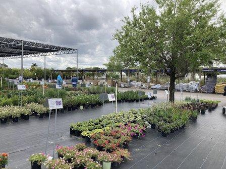 Mariposa Nursery Inc