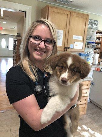 Sarasota Animal Medical Center