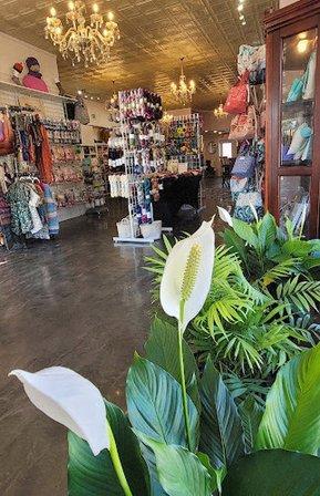 Panbanged Knits & Fiber Shoppe