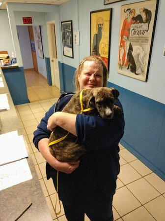 Pet Luv Non Profit Spay Center