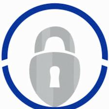 The Key Experts - DVP
