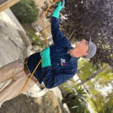 AW Termite And Pest control Services of sarasota FL