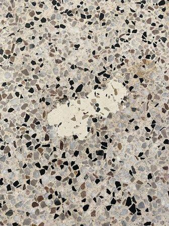 Rembrandt Surface Systems