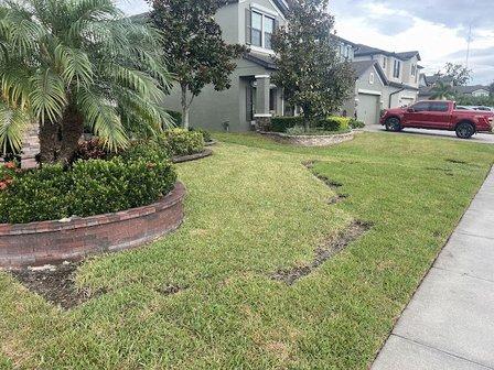 Bay to Bay Landscaping